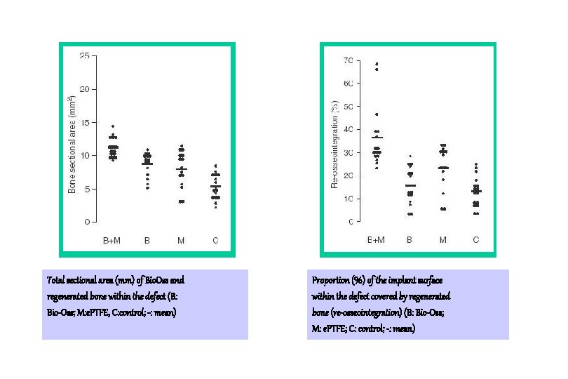 Total sectional area (mm) of Bio. Oss and regenerated bone within the defect (B: Total sectional area (mm) of Bio. Oss and regenerated bone within the defect (B:
