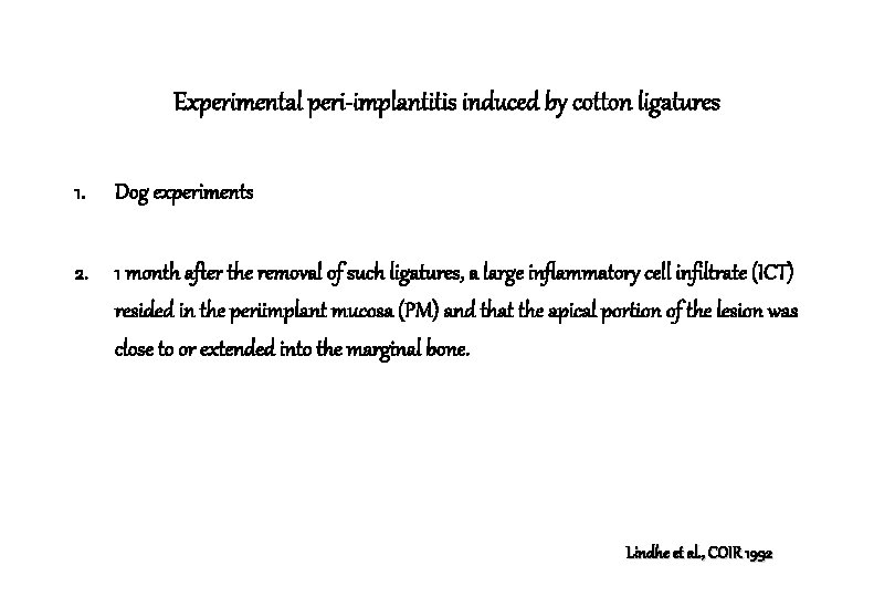 Experimental peri-implantitis induced by cotton ligatures 1. Dog experiments 2. 1 month after the Experimental peri-implantitis induced by cotton ligatures 1. Dog experiments 2. 1 month after the