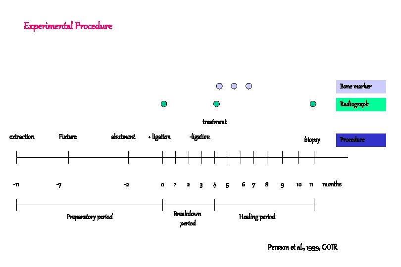 Experimental Procedure Bone marker Radiograph treatment extraction -11 Fixture abutment -7 -2 Preparatory period Experimental Procedure Bone marker Radiograph treatment extraction -11 Fixture abutment -7 -2 Preparatory period