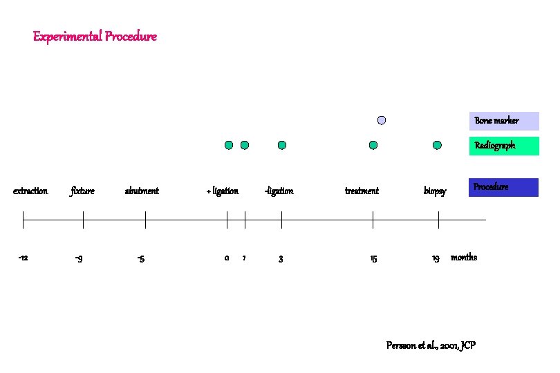 Experimental Procedure Bone marker Radiograph extraction -12 fixture -9 abutment -5 + ligation 0 Experimental Procedure Bone marker Radiograph extraction -12 fixture -9 abutment -5 + ligation 0