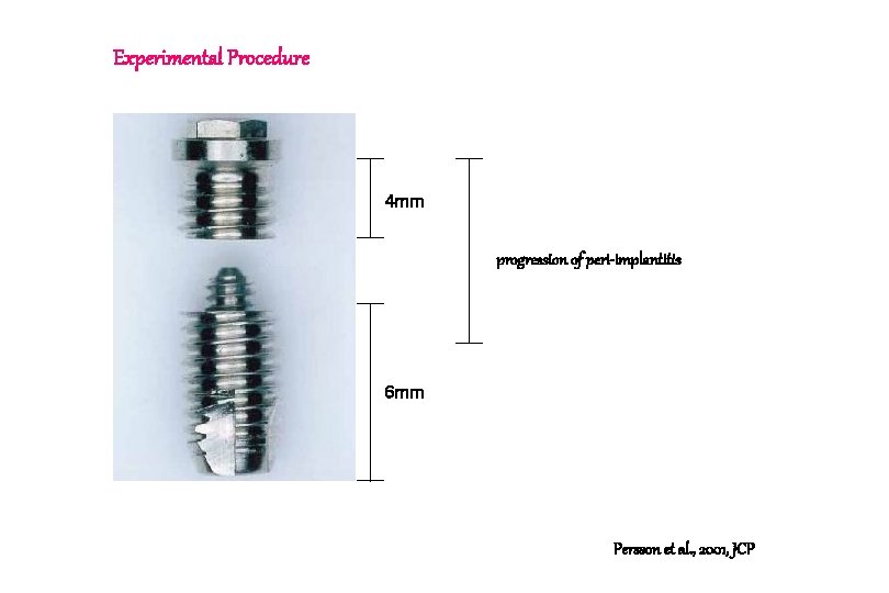 Experimental Procedure 4 mm progression of peri-implantitis 6 mm Persson et al. , 2001, Experimental Procedure 4 mm progression of peri-implantitis 6 mm Persson et al. , 2001,