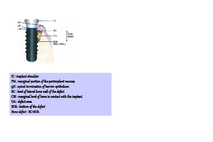 IC : implant shoulder PM : marginal portion of the periimplant mucosa a. JE IC : implant shoulder PM : marginal portion of the periimplant mucosa a. JE