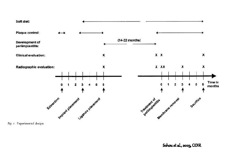 Schou et al. , 2003, COIR Schou et al. , 2003, COIR