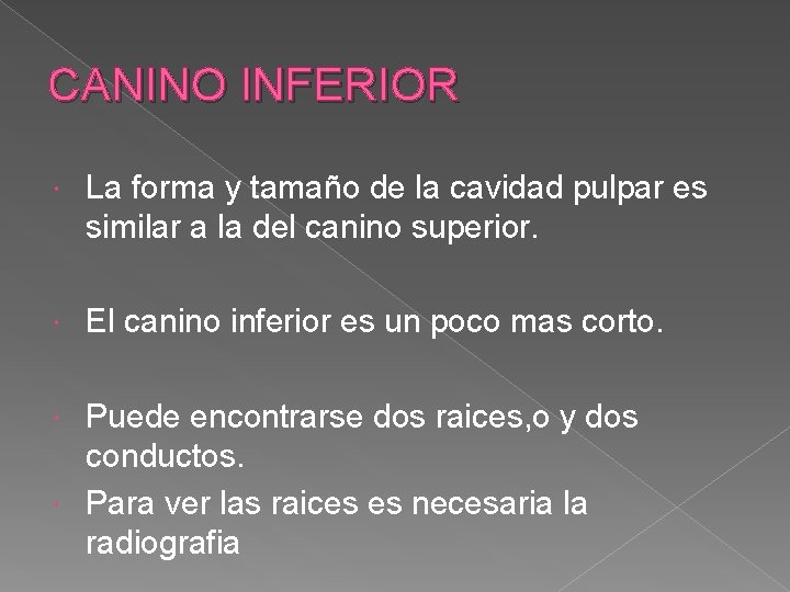 CANINO INFERIOR La forma y tamaño de la cavidad pulpar es similar a la CANINO INFERIOR La forma y tamaño de la cavidad pulpar es similar a la