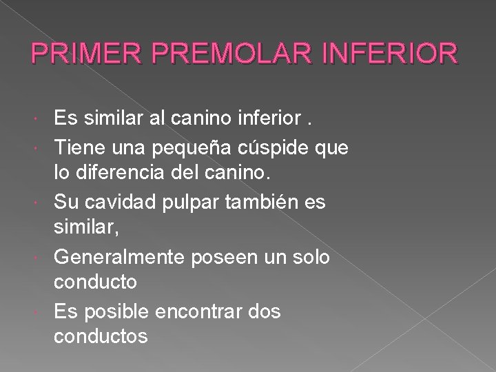 PRIMER PREMOLAR INFERIOR Es similar al canino inferior. Tiene una pequeña cúspide que lo PRIMER PREMOLAR INFERIOR Es similar al canino inferior. Tiene una pequeña cúspide que lo