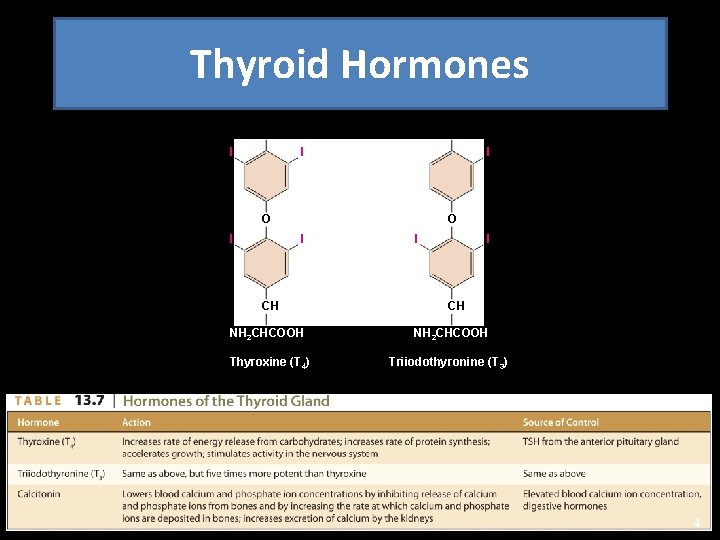 Thyroid Hormones OH I I O I CH 2 I I CH 2 NH