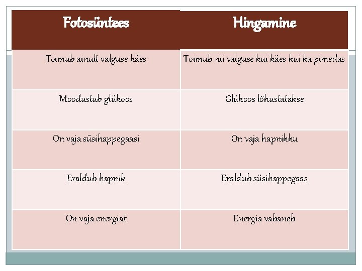 Fotosüntees Hingamine Toimub ainult valguse käes Toimub nii valguse kui käes kui ka pimedas