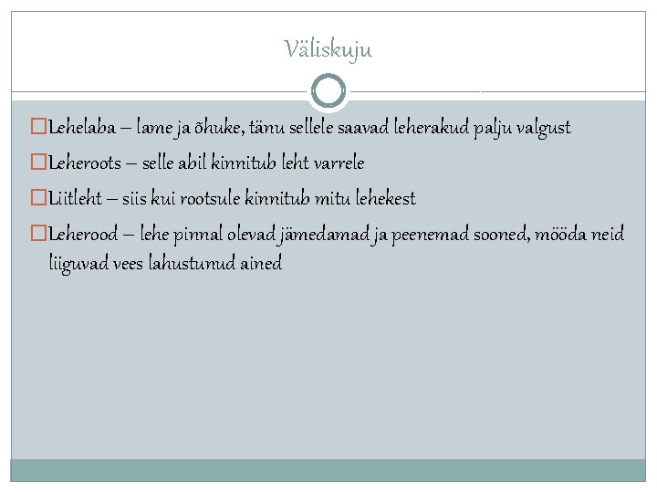Väliskuju �Lehelaba – lame ja õhuke, tänu sellele saavad leherakud palju valgust �Leheroots –