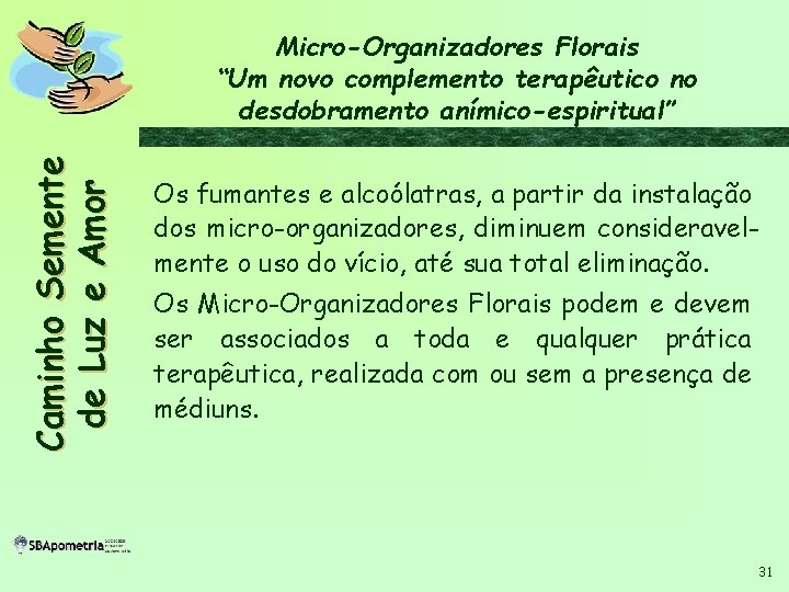 C a m i n h o S em en t e d e