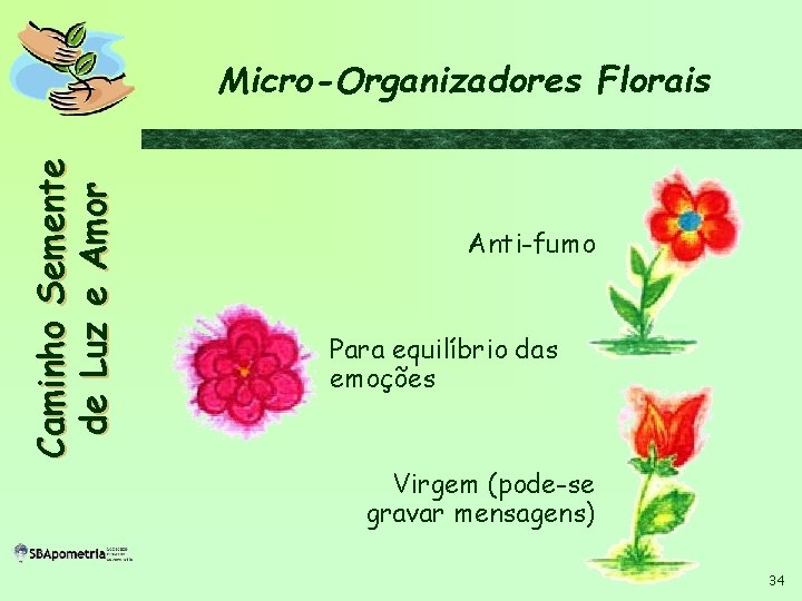 C a m i n h o S em en t e d e