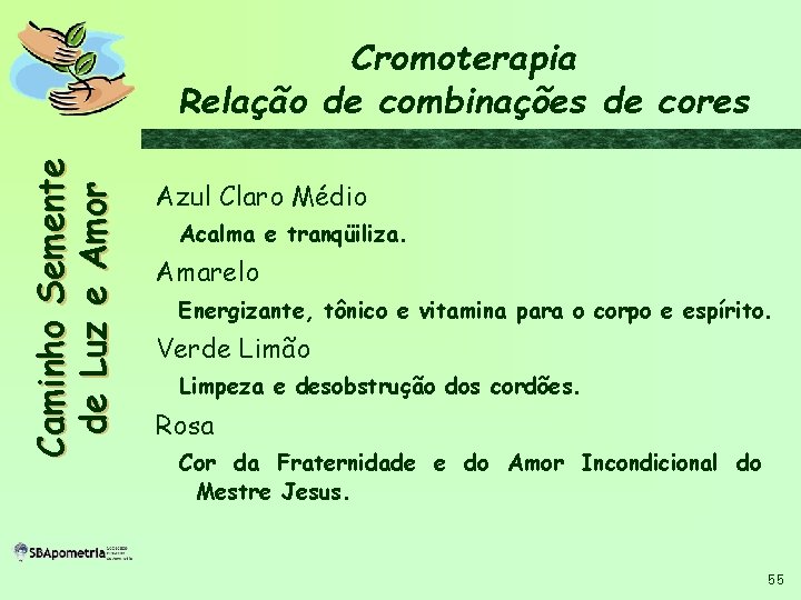 C a m i n h o S em en t e d e