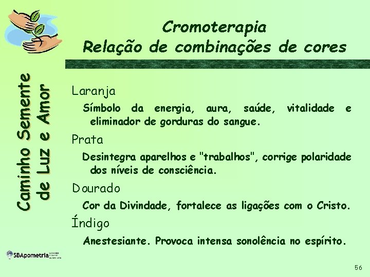 C a m i n h o S em en t e d e