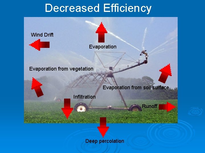 Decreased Efficiency Wind Drift Evaporation from vegetation Evaporation from soil surface Infiltration Runoff Deep