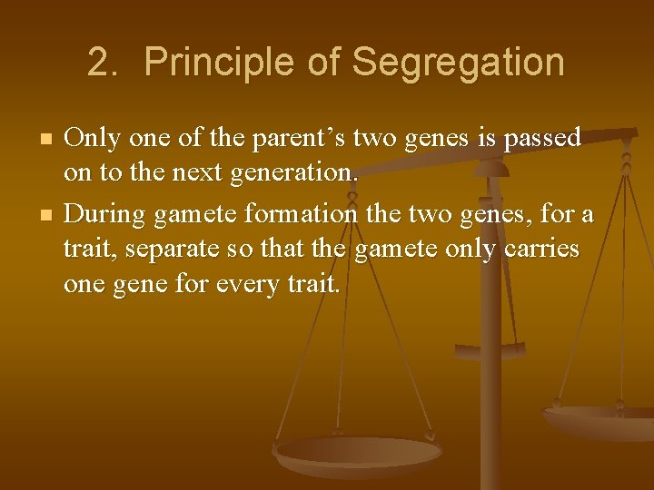 2. Principle of Segregation n n Only one of the parent’s two genes is