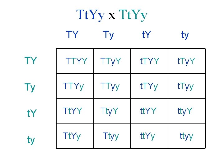 Tt. Yy x Tt. Yy TY Ty t. Y ty TY TTYY TTy. Y