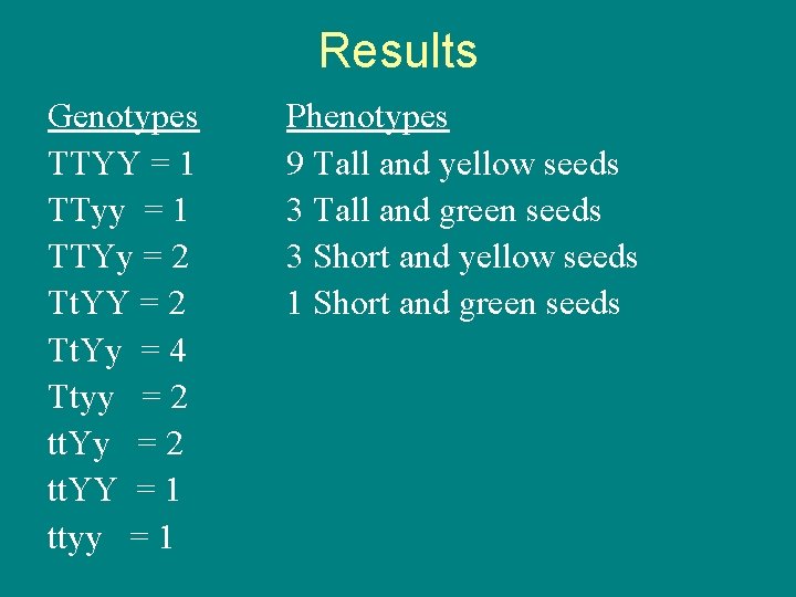 Results Genotypes TTYY = 1 TTyy = 1 TTYy = 2 Tt. YY =