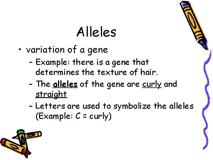 Alleles • variation of a gene – Example: there is a gene that determines