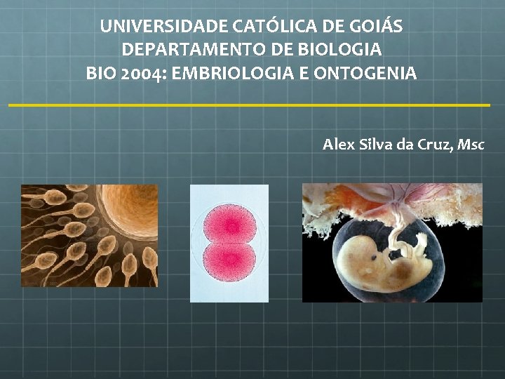 UNIVERSIDADE CATÓLICA DE GOIÁS DEPARTAMENTO DE BIOLOGIA BIO 2004: EMBRIOLOGIA E ONTOGENIA Alex Silva