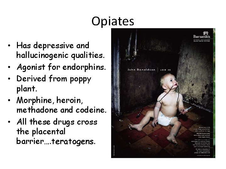 Opiates • Has depressive and hallucinogenic qualities. • Agonist for endorphins. • Derived from