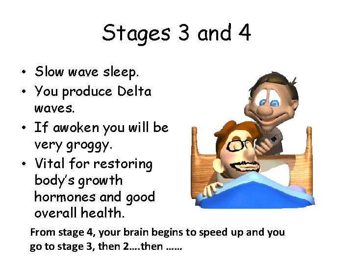 Stages 3 and 4 • Slow wave sleep. • You produce Delta waves. •