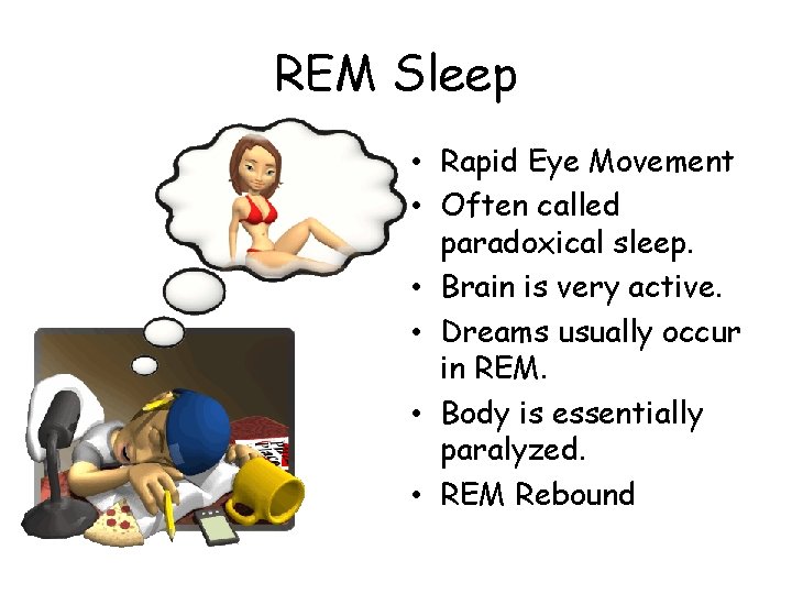 REM Sleep • Rapid Eye Movement • Often called paradoxical sleep. • Brain is