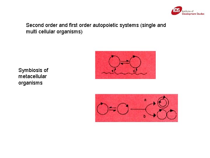 Second order and first order autopoietic systems (single and multi cellular organisms) Symbiosis of