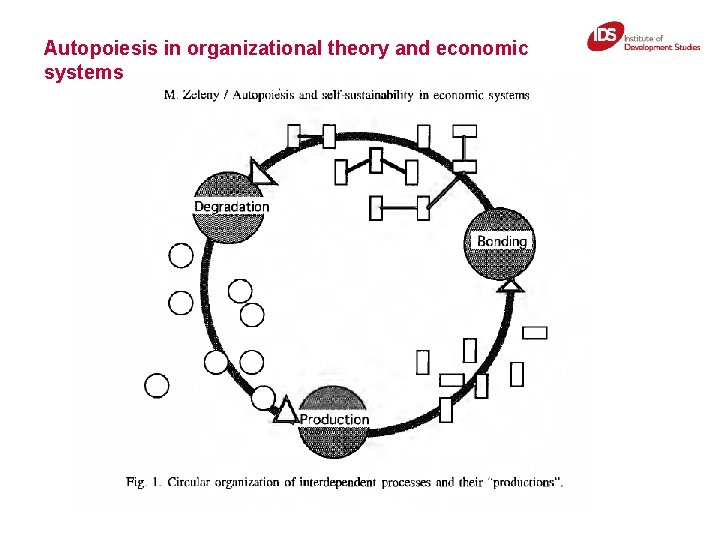 Autopoiesis in organizational theory and economic systems 