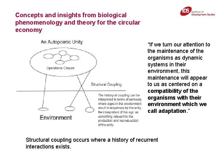 Concepts and insights from biological phenomenology and theory for the circular economy “If we