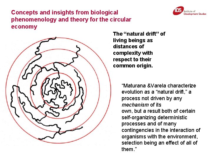 Concepts and insights from biological phenomenology and theory for the circular economy The “natural