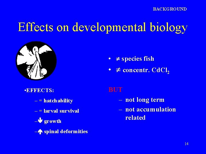 BACKGROUND Effects on developmental biology • species fish • concentr. Cd. Cl 2 •
