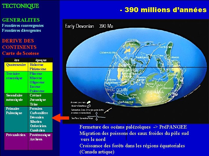 TECTONIQUE - 390 millions d’années GENERALITES Frontières convergentes Frontières divergentes DERIVE DES CONTINENTS Carte