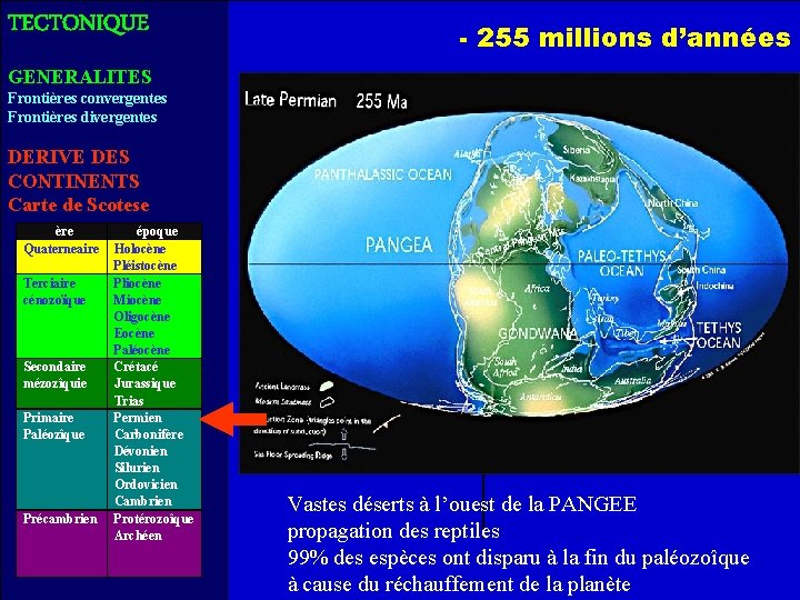 TECTONIQUE - 255 millions d’années GENERALITES Frontières convergentes Frontières divergentes DERIVE DES CONTINENTS Carte