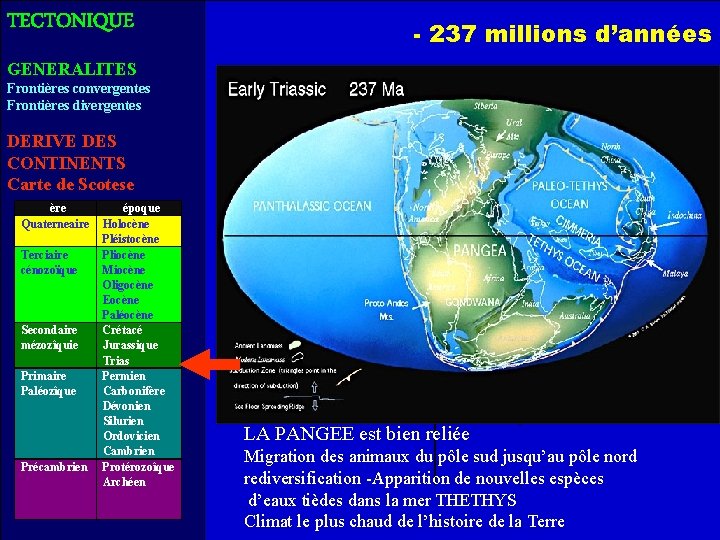 TECTONIQUE - 237 millions d’années GENERALITES Frontières convergentes Frontières divergentes DERIVE DES CONTINENTS Carte