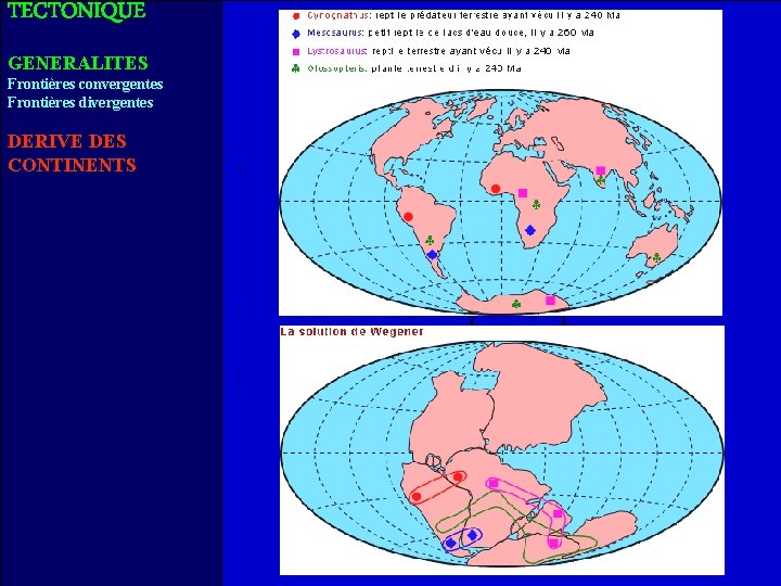 TECTONIQUE GENERALITES Frontières convergentes Frontières divergentes DERIVE DES CONTINENTS 