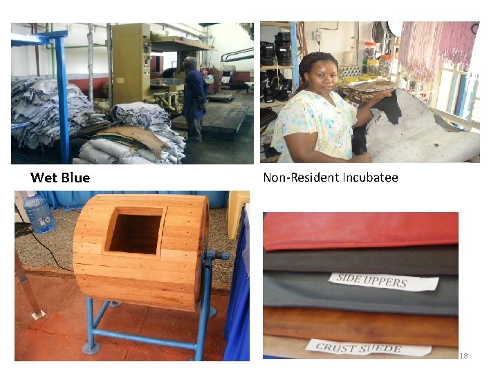 Wet Blue Non-Resident Incubatee 18 