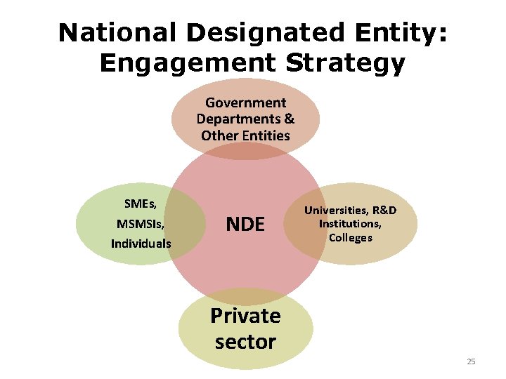 National Designated Entity: Engagement Strategy Government Departments & Other Entities SMEs, MSMSIs, Individuals NDE