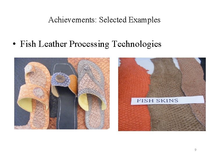 Achievements: Selected Examples • Fish Leather Processing Technologies 9 