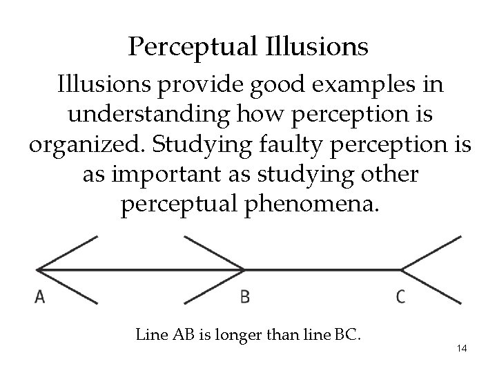 Perceptual Illusions provide good examples in understanding how perception is organized. Studying faulty perception