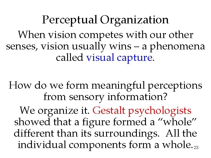 Perceptual Organization When vision competes with our other senses, vision usually wins – a
