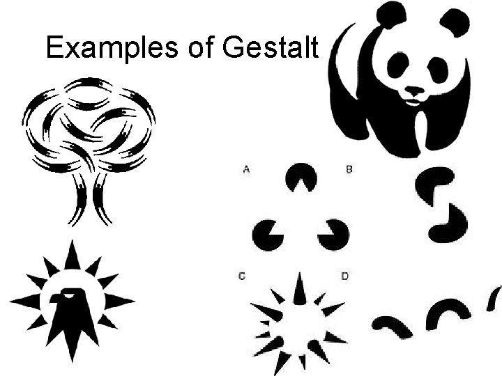 Examples of Gestalt 24 