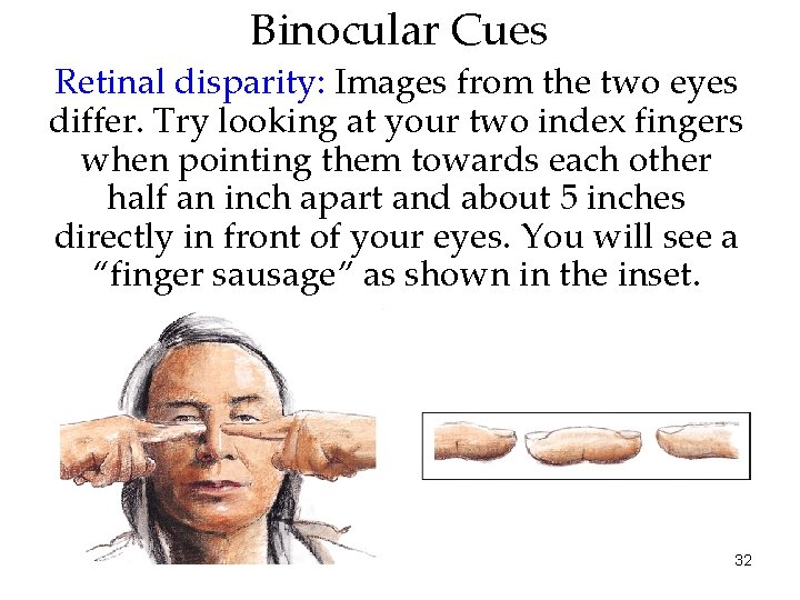 Binocular Cues Retinal disparity: Images from the two eyes differ. Try looking at your