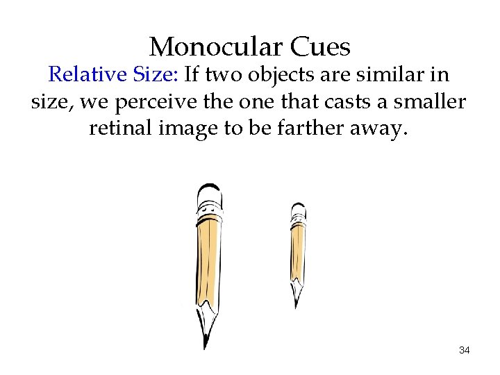 Monocular Cues Relative Size: If two objects are similar in size, we perceive the