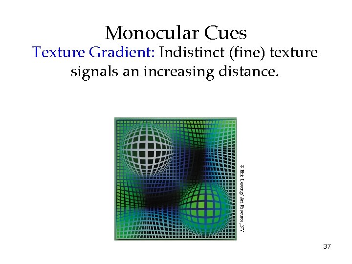 Monocular Cues Texture Gradient: Indistinct (fine) texture signals an increasing distance. © Eric Lessing/ Monocular Cues Texture Gradient: Indistinct (fine) texture signals an increasing distance. © Eric Lessing/