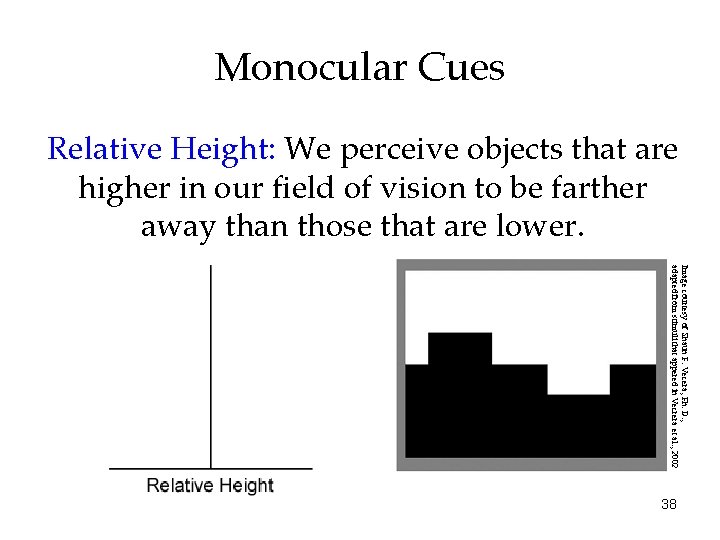 Monocular Cues Relative Height: We perceive objects that are higher in our field of Monocular Cues Relative Height: We perceive objects that are higher in our field of