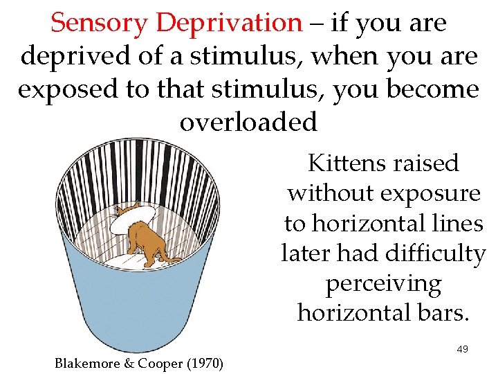 Sensory Deprivation – if you are deprived of a stimulus, when you are exposed