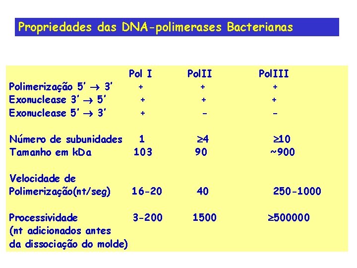 Propriedades das DNA-polimerases Bacterianas Pol I + + + Pol. II + + -