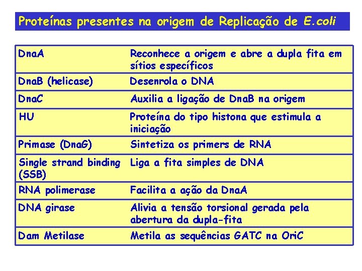 Proteínas presentes na origem de Replicação de E. coli Dna. A Reconhece a origem