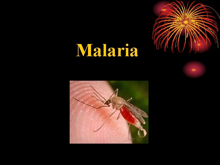 Malaria 