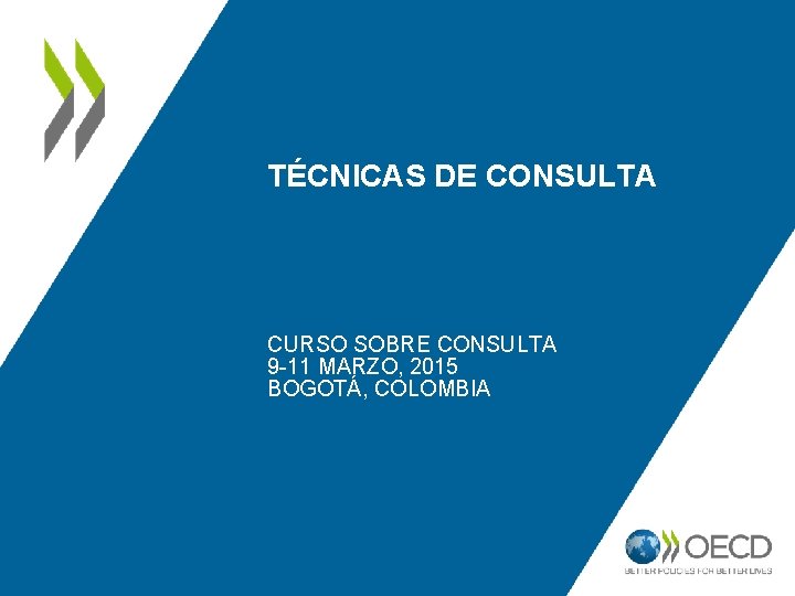 TÉCNICAS DE CONSULTA CURSO SOBRE CONSULTA 9 -11 MARZO, 2015 BOGOTÁ, COLOMBIA 