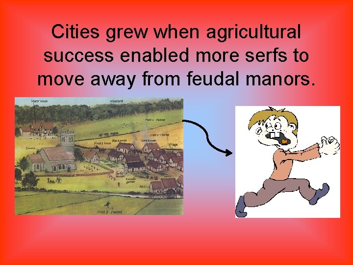 Cities grew when agricultural success enabled more serfs to move away from feudal manors.